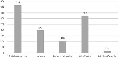 A qualitative exploration of online forums to support resilience of rural young people in Australia